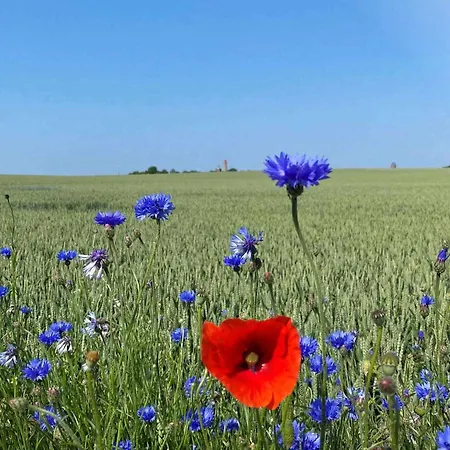 Wohnpark Stadt Hamburg 28